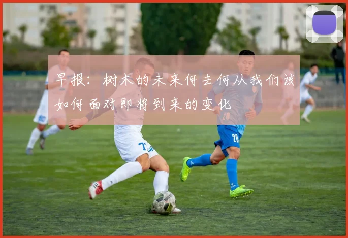 早报：树木的未来何去何从我们该如何面对即将到来的变化
