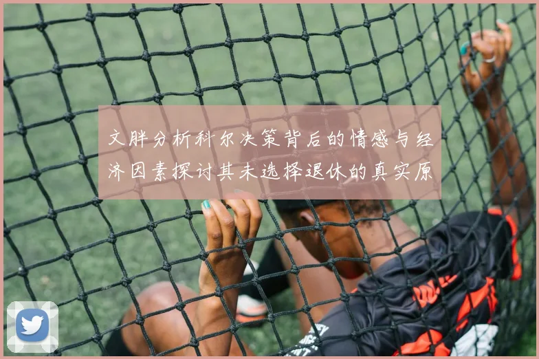 文胖分析科尔决策背后的情感与经济因素探讨其未选择退休的真实原因