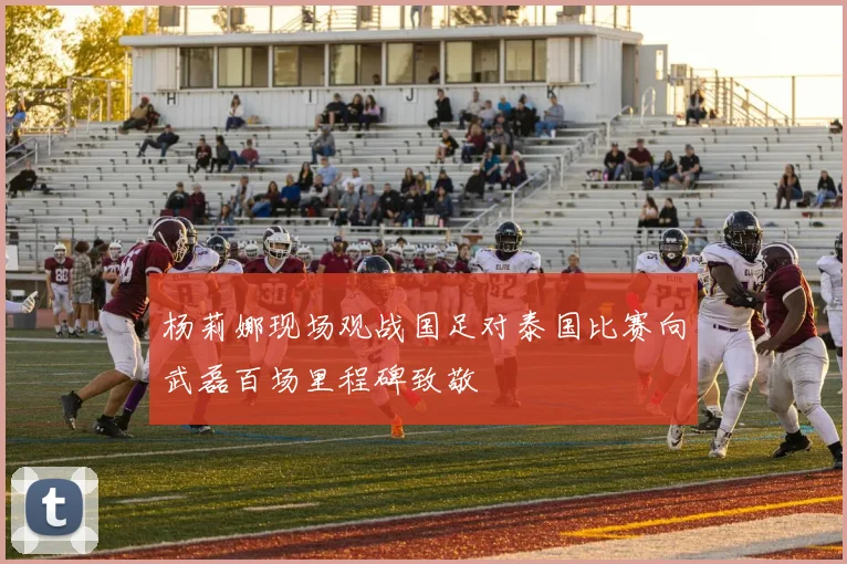杨莉娜现场观战国足对泰国比赛向武磊百场里程碑致敬